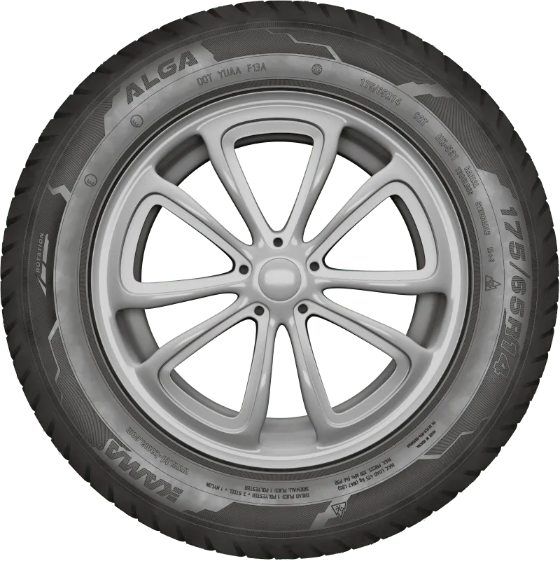 KAMA ALGA (НК-531) нешип в Дербенте — KAMA TYRES KAMA ALGA (НК-531) нешип в Дербенте
